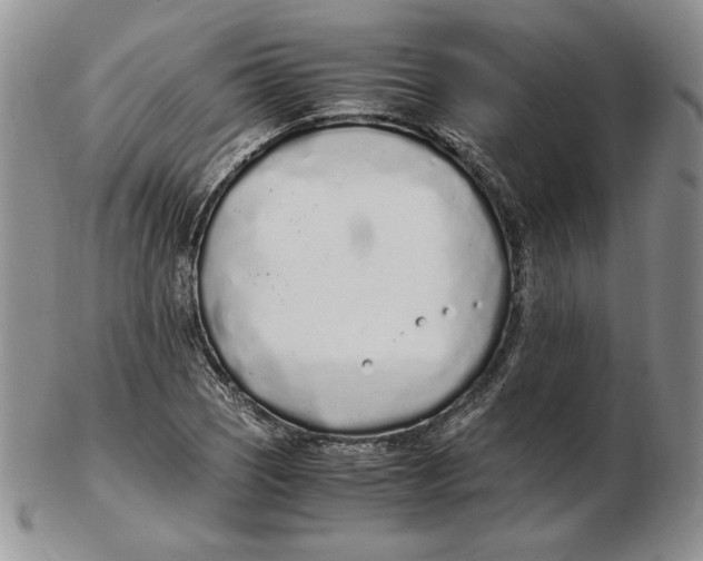 X0000102371121200808221732