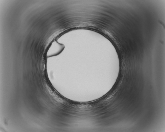 X0000102371122200808221732