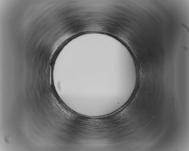 X0000102371123200808221732