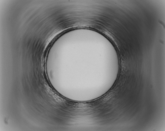 X0000102371124200808221732