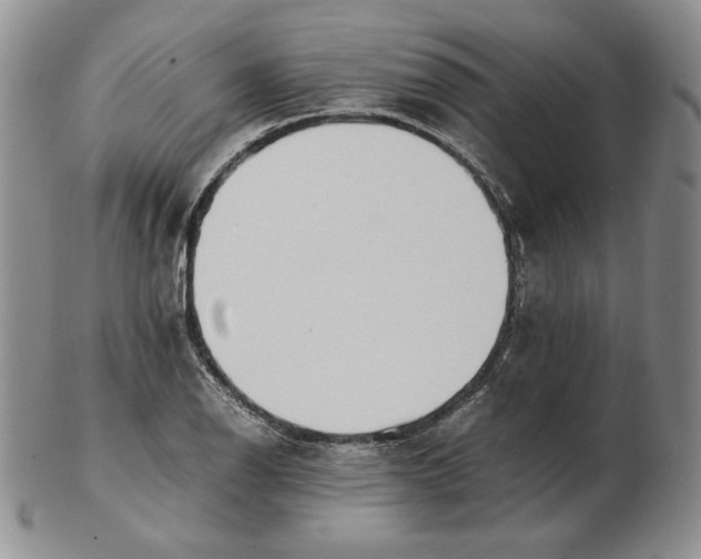 X0000102371126200808221733