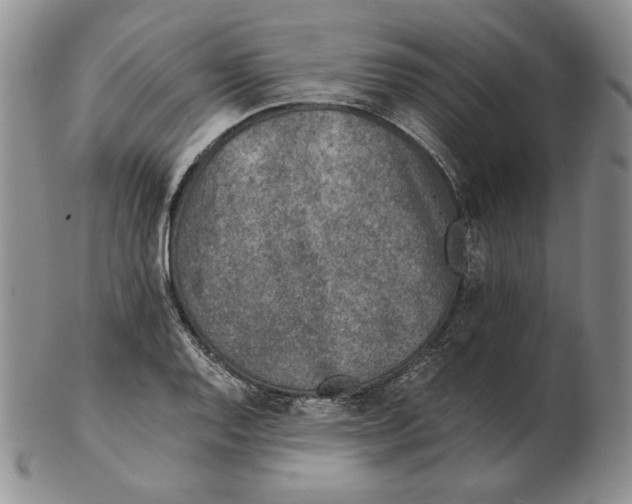 X0000102371128200808221733