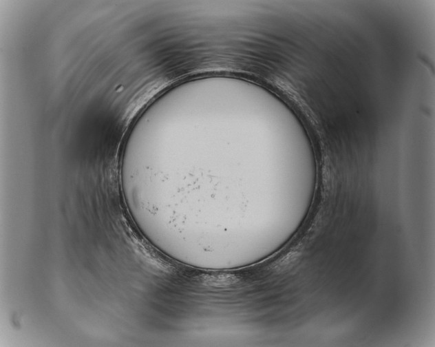 X0000102371129200808221733