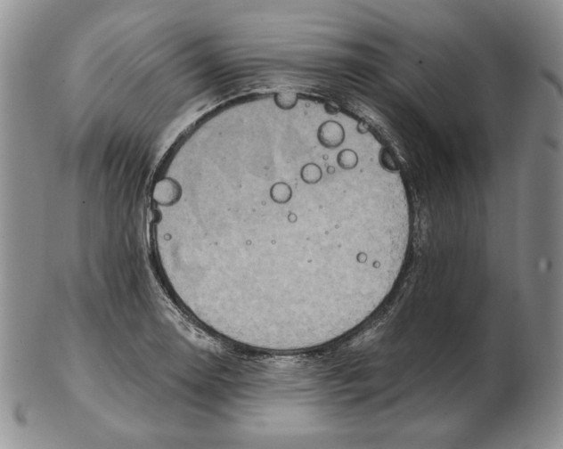 X0000102371130200808221733