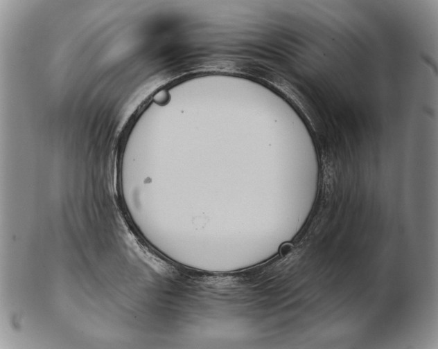 X0000102371131200808221733