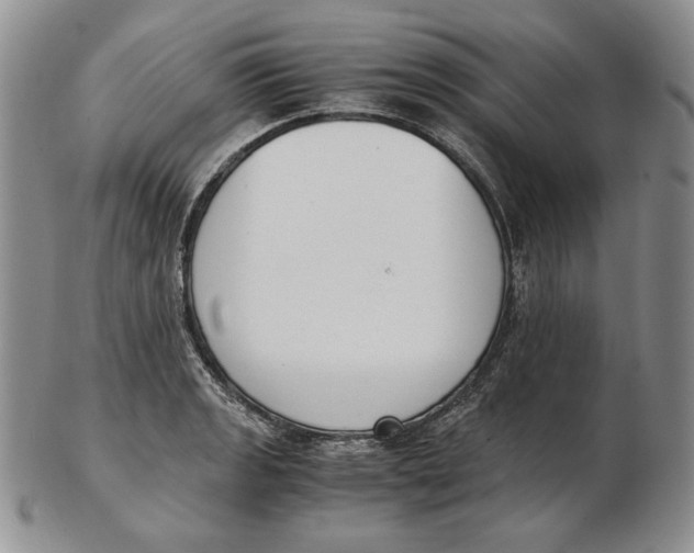 X0000102371133200808221733