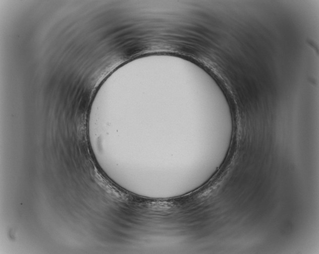 X0000102371137200808221733