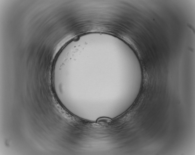 X0000102371138200808221733