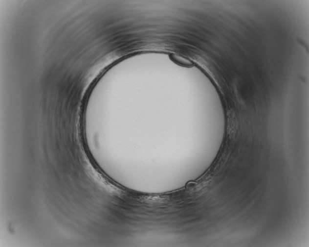 X0000102371139200808221733