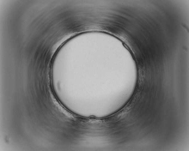 X0000102371142200808221733