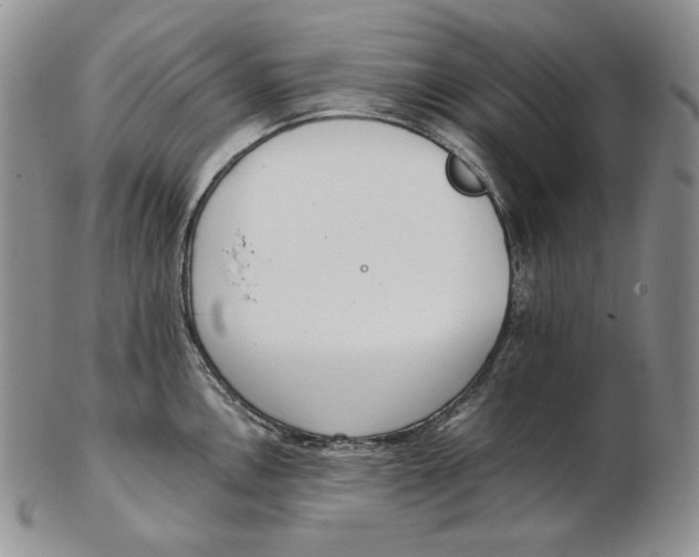 X0000102371146200808221733