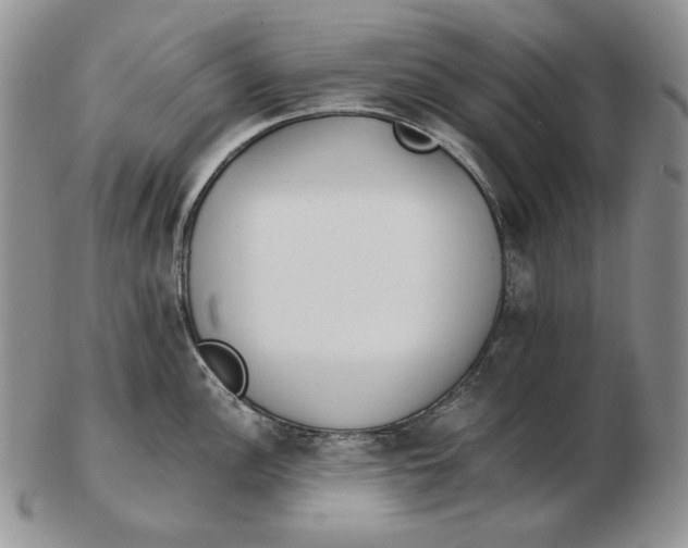 X0000102371148200808221733