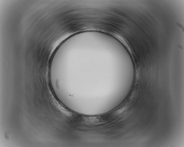 X0000102371149200808221733