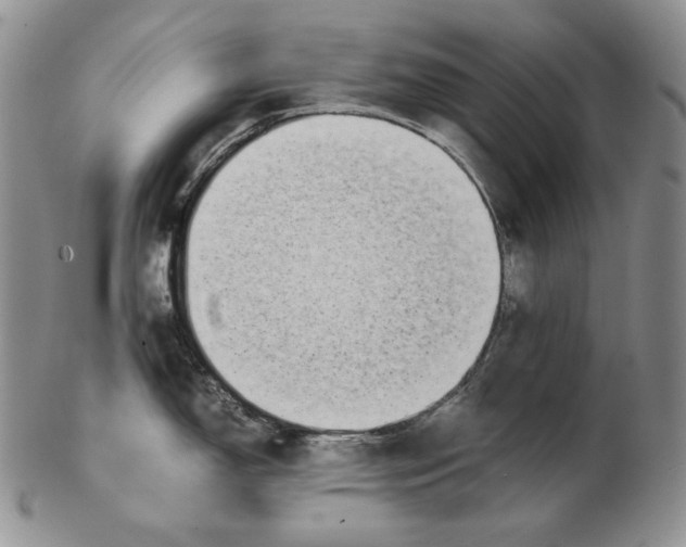 X0000102371150200808221733