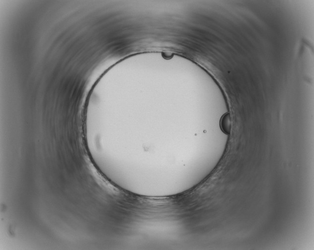 X0000102371152200808221733