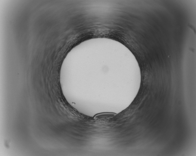 X0000102371153200808221732