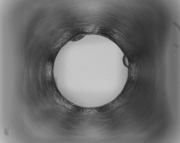 X0000102371154200808221732