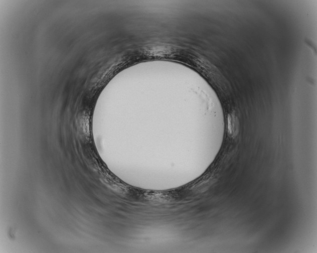 X0000102371155200808221732