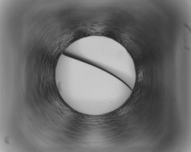 X0000102371156200808221732