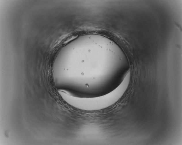 X0000102371157200808221732