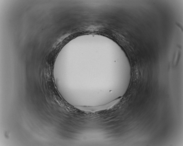 X0000102371158200808221732