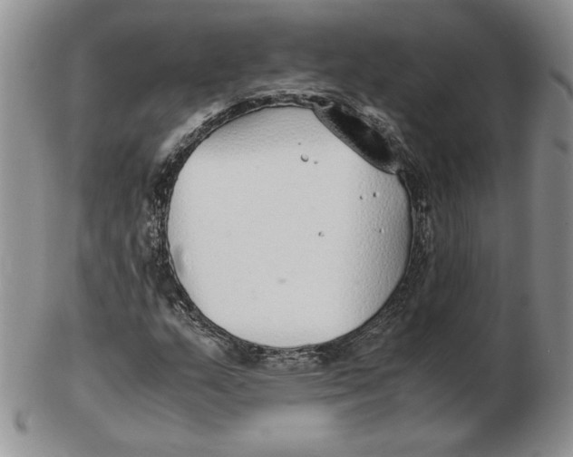 X0000102371159200808221732