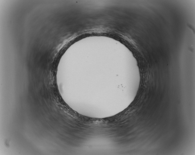 X0000102371160200808221732