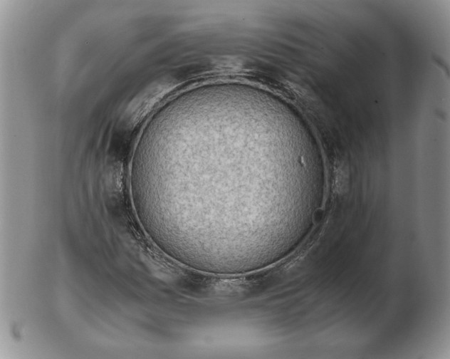 X0000102371161200808221732