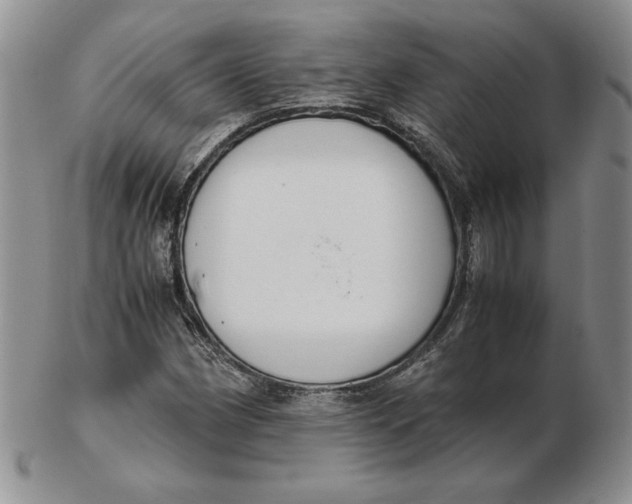 X0000102371162200808221732