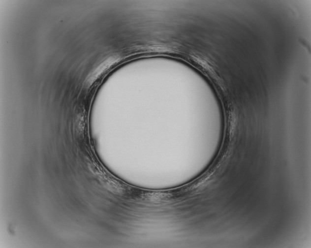 X0000102371163200808221732