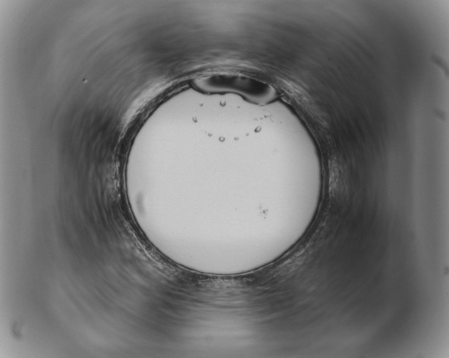 X0000102371164200808221732