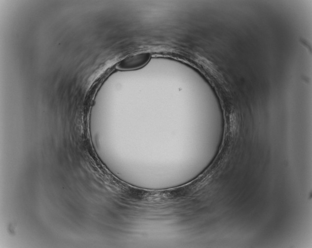 X0000102371165200808221732