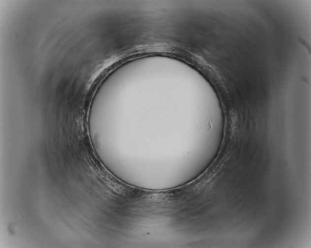 X0000102371166200808221732