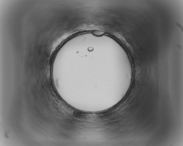 X0000102371167200808221732