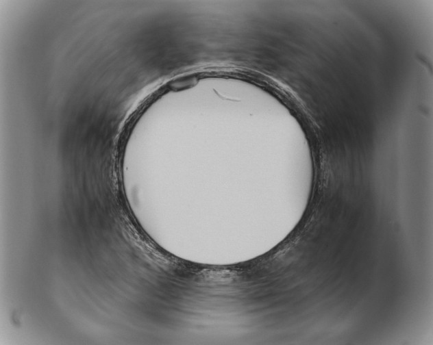 X0000102371168200808221732