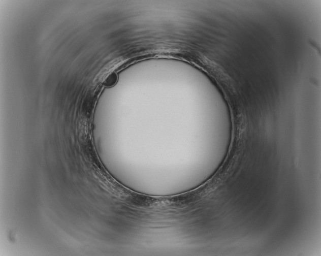 X0000102371169200808221732