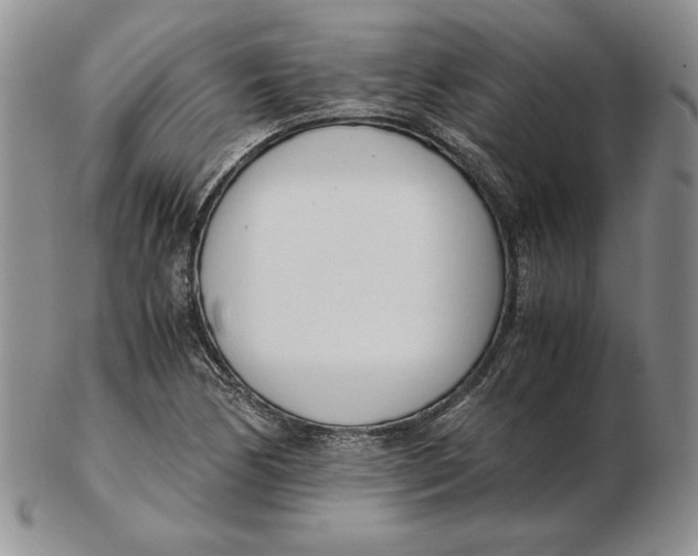 X0000102371170200808221732