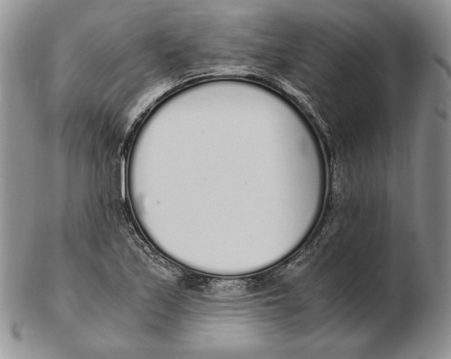 X0000102371171200808221732