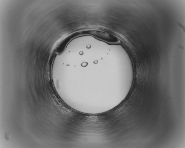 X0000102371172200808221732