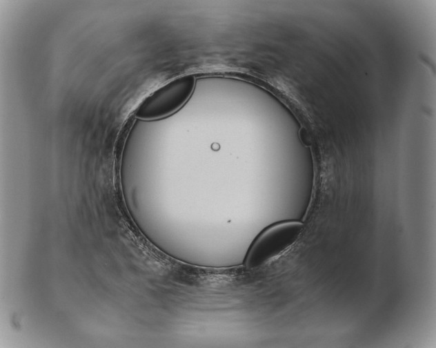 X0000102371173200808221732