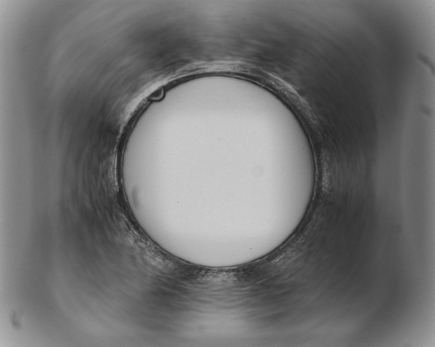 X0000102371174200808221732