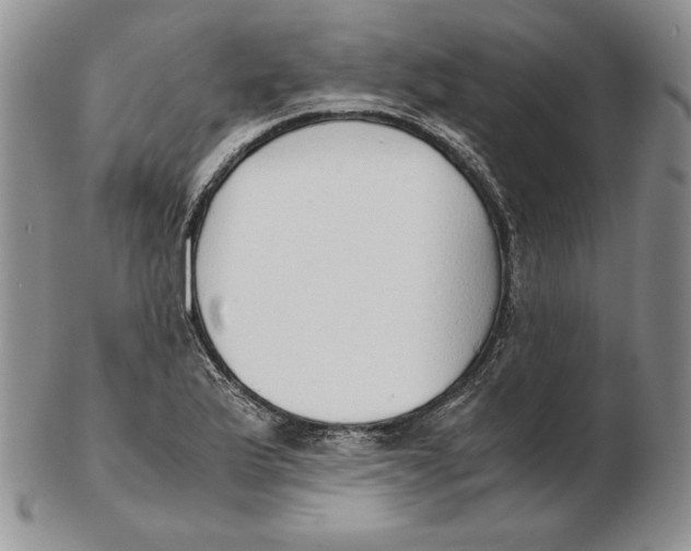 X0000102371175200808221732