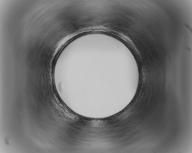 X0000102371176200808221732