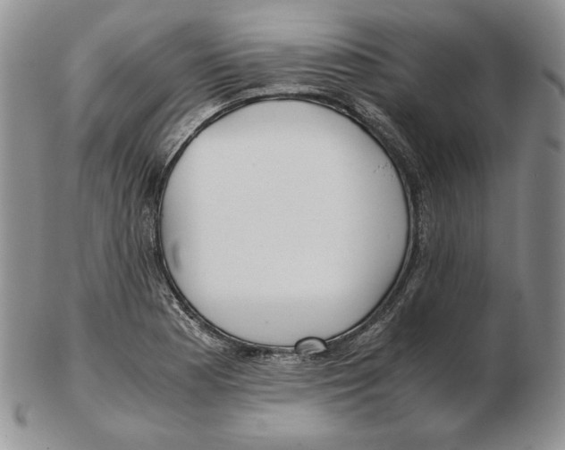 X0000102371177200808221732