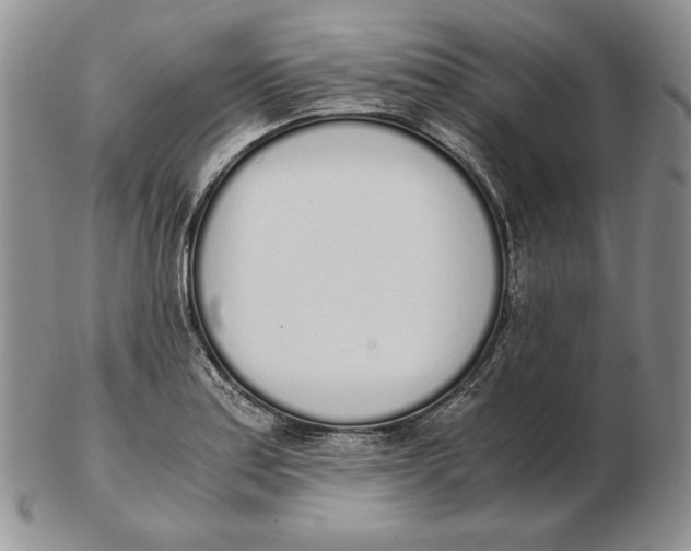 X0000102371179200808221732