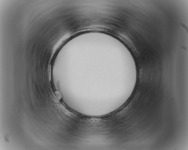 X0000102371180200808221732