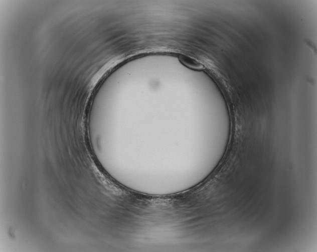 X0000102371181200808221732