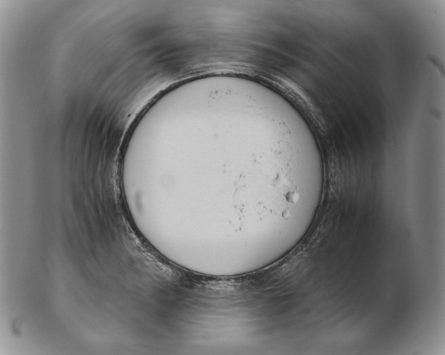 X0000102371182200808221732