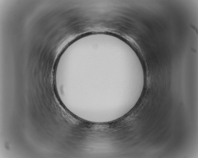 X0000102371183200808221732