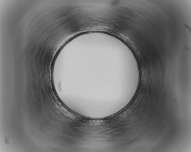 X0000102371184200808221732